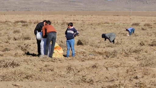 Çiftçiden vatandaşlara bedava patates
