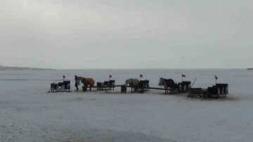 Çıldır’da kızak atlarına battaniyeli koruma
