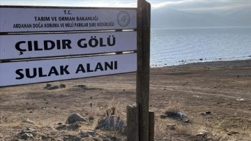 Çıldır Gölü'nün tamamen donması havaların sıcak gitmesi nedeniyle henüz gerçekleşmedi