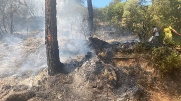 Çine’deki orman yangını büyümeden kontrol altına alındı
