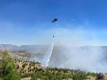 Çobanın çay ateşi ormana sıçradı
