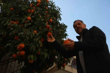 Çocuk seslerinin yerini iş makinesi seslerinin aldığı enkaz kentte, evlerin bahçelerindeki narenciyeler dallarda kaldı
