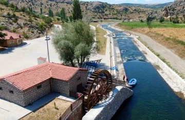 Çölyak hastaları için karabuğday unu üretiliyor
