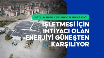 Çorum'da TKDK desteğiyle kurulan GES, işletmenin karlılığını artırdı