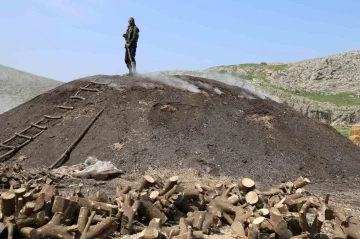 Çukurova sıcağında narenciye odunları mangal kömürüne dönüşüyor
