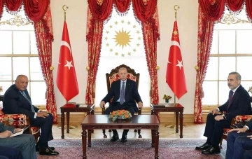 Cumhurbaşkanı Erdoğan, Mısır Dışişleri Bakanı Şukri’yi kabul etti
