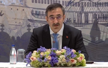 Cumhurbaşkanı Yardımcısı Cevdet Yılmaz: &quot;Eylül ayında paylaşacağımız OVP’ye özel sektörün beklentileri yansıyacak&quot;
