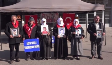 Dağdaki oğluna seslenen anne: &quot;Artık evlat hasretine dayanamıyoruz&quot;
