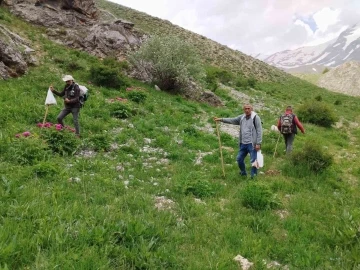 Dağlarda 20 kilometre yol kat edip mantar topluyorlar
