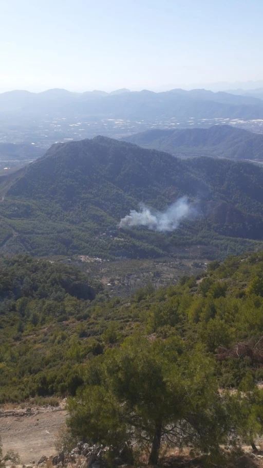 Dalaman’da Orman yangını
