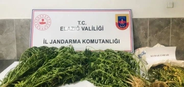 Damla sulama sistemiyle kenevir yetiştiren şüpheli suçüstü yakalandı
