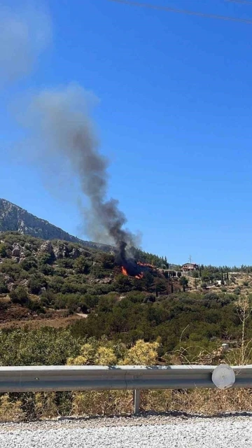 Datça’da orman yangını
