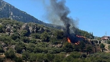 Datça'da ormanlık alanda yangın çıktı