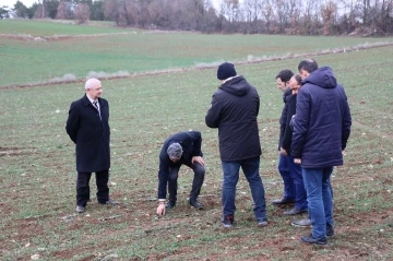 Demonstrasyon alanlarında incelemelerde yaptı
