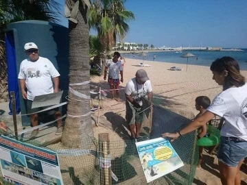 Deniz kaplumbağaları bu yıl Didim’e yumurta bırakmadı
