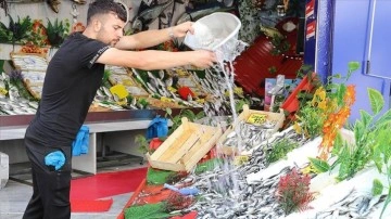 Denizlerde av yasağının sona ermesiyle balıkçı tezgahları hareketlendi