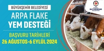 Denizli Büyükşehir büyükbaş hayvan üreticilerine yem desteği sağlayacak
