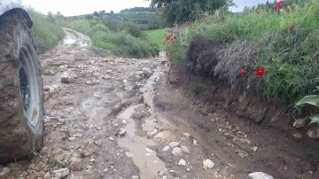 Denizli’de kekik ve adaçayı üretimi yağışlardan olumsuz etkilendi
