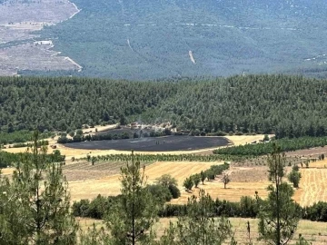 Denizli’de ormana yakın bölgede çıkan yangın söndürüldü
