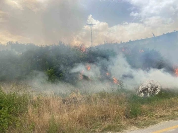 Denizli’de üç noktada orman yangını çıktı
