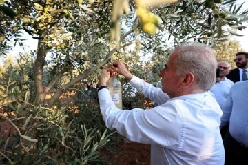 Denizli’de zeytin üreticilerine biyoteknik mücadele desteği verilecek
