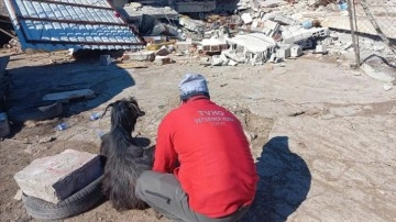 Deprem nedeniyle Tarım ve Orman Bakanlığının bazı mal ve hizmetleri ücretsiz verilecek