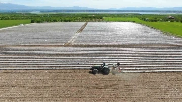 Deprem tarımı da vurdu, mevsimlik işçi bulunamıyor
