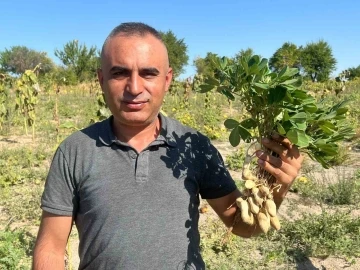 Depremde enkazdan kurtardığı çocuğun ailesinin hediye ettiği fıstıklarla Nevşehir’de yüksek rekolte elde etti
