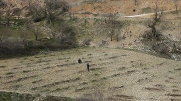 Depremde heyelanla kayan mezradaki üzüm bağında bakım yapıyor