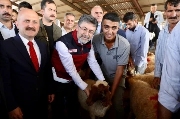 Depremden etkilenen illerde küçükbaş, kanatlı hayvan ve arılı kovan dağıtımları tamamlandı
