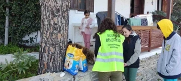 Depremden kurtulan Ege’nin hayvan sevgisi