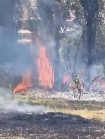 Derecik’te ot yangını
