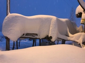 Derecik’te tek katlı evler kara gömüldü
