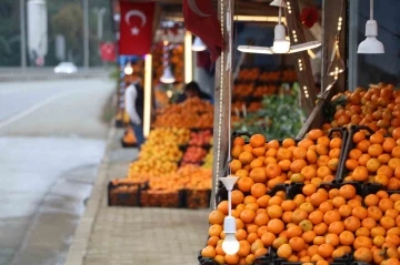 Derepazarı mandalinasında hasat iyi, satışlar kötü
