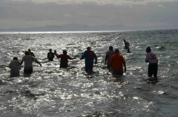 Didim’de sokak hayvanları için denize girdiler
