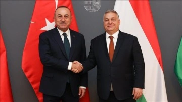 Dışişleri Bakanı Çavuşoğlu, Macaristan Başbakanı Orban ile görüştü