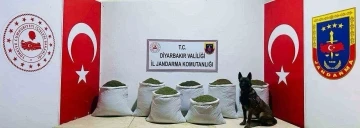 Diyarbakır’da 129 kilo toz esrar ele geçirildi
