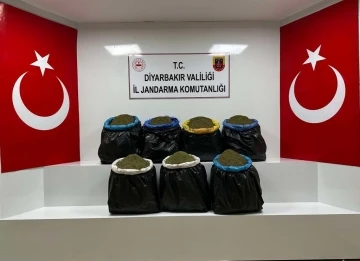 Diyarbakır’da ağaçlık alanda 100 kilo esrar bulundu
