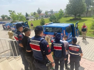 Diyarbakır’da hırsızlık şüphelisi 3 kişi tutuklandı
