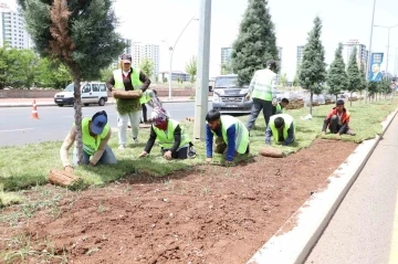 Diyarbakır’da kavşak ve refüjlerde peyzaj çalışmaları devam ediyor
