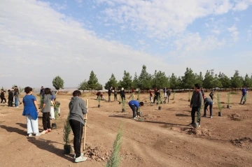 Diyarbakır’da öğrenciler fidan dikti
