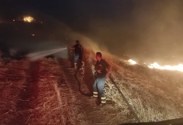 Diyarbakır’da orman ve örtü yangını
