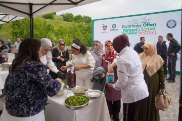 Diyarbakır otları ve şerbet festivali
