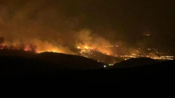 Diyarbakır ve Mardin'deki yangınlarda ölü sayısı 14'e yükseldi