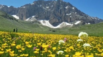 Doç. Dr. Paksoy, “Tunceli’nin biyoçeşitliliği aşırı otlatma tehdidi altında”
