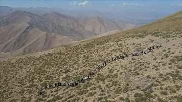 Doğaseverler, Van Gölü konusunda farkındalık oluşturmak için Artos Dağı'na tırmandı