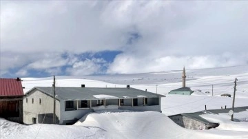 Doğu Anadolu'da kar yağışı etkili oluyor