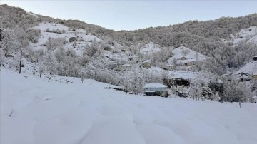 Doğu Karadeniz'de 4 ilde 307 yerleşim yerinde ulaşım sağlanamıyor