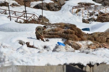 Doğuda kış çilesi devam ediyor
