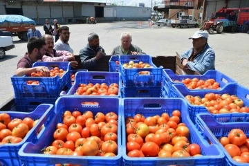 Domates ihracatındaki yasak kaldırıldı
